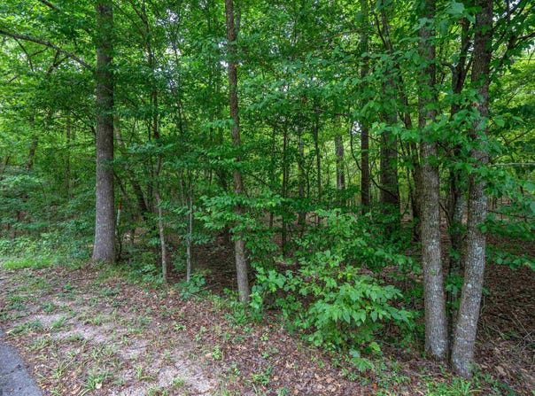 RIVERVIEW Drive lot: 58, Malvern, AR 72104