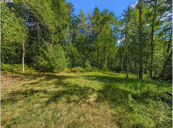 NE BERRY Rd, BattleGround, WA 98604