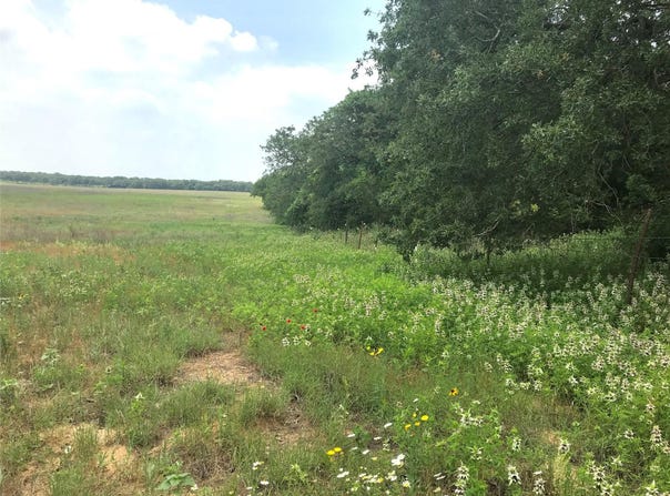 1672 Sayers Rd, Bastrop, TX 78602