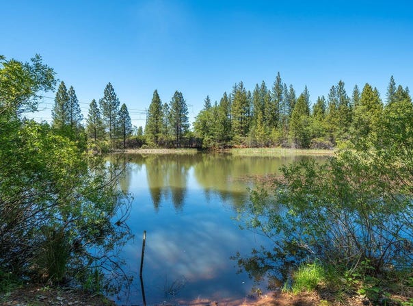29822 State Highway 44, Shingletown, CA 96088