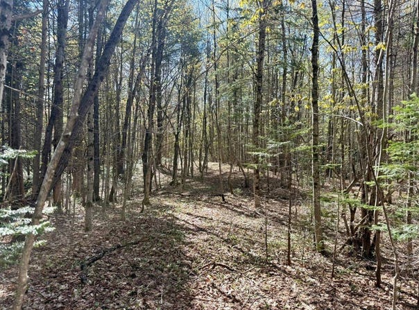 Off Haskell Road, Piseco, NY 12139
