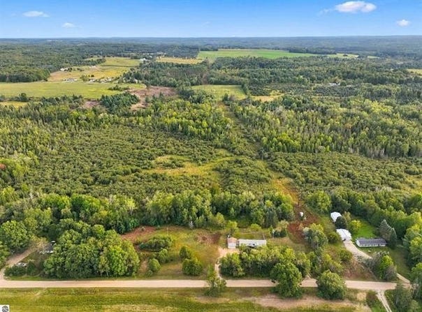 6890 E 46 ROAD, CADILLAC, MI 49601