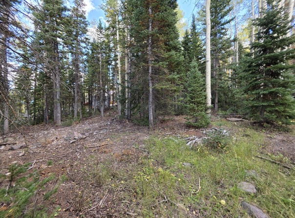 214 E DEER TRAIL Rd, Brian Head, UT 84719