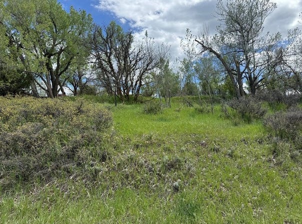 W Ryus, La Veta, CO 81055
