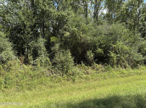 Plantation Place lot: 39, Abbeville, LA 70510