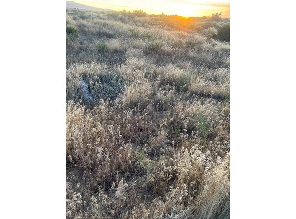 0 Verbina, Adelanto, CA 92301