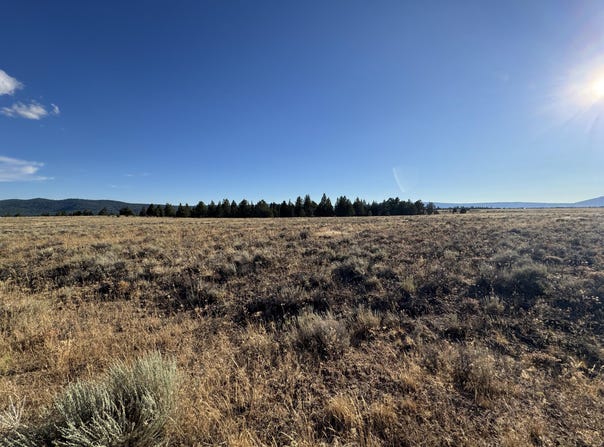 Rim Drive, Sprague River, OR 97639