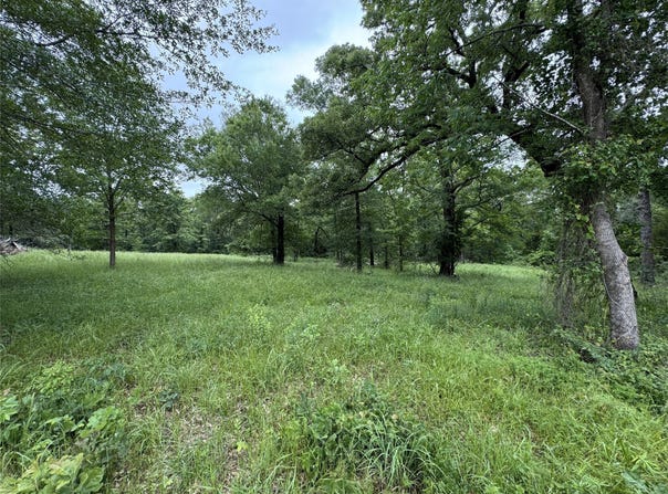 Rs County Road 3360, Emory, TX 75440