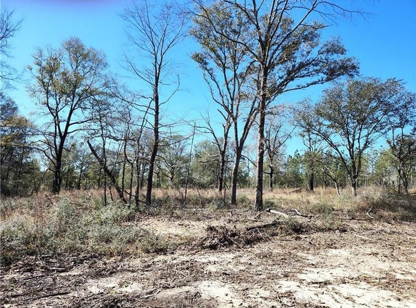 Hampton Road, Mobile, AL 36608