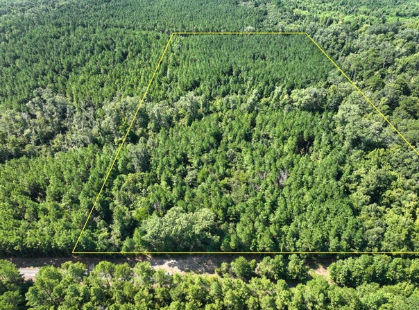 Sam Booker Road, Mansfield, LA 71052
