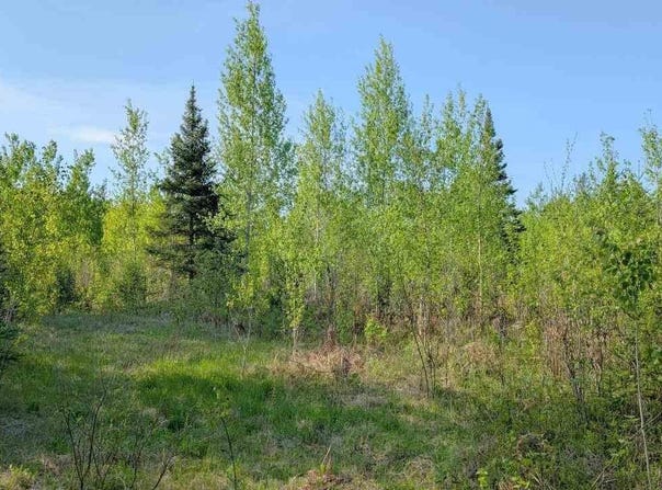 7573 Thumbnail Drive, Embarrass, MN 55732