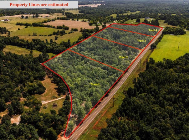 Tract 1 Slash Pine, Big Sandy, TX 75755