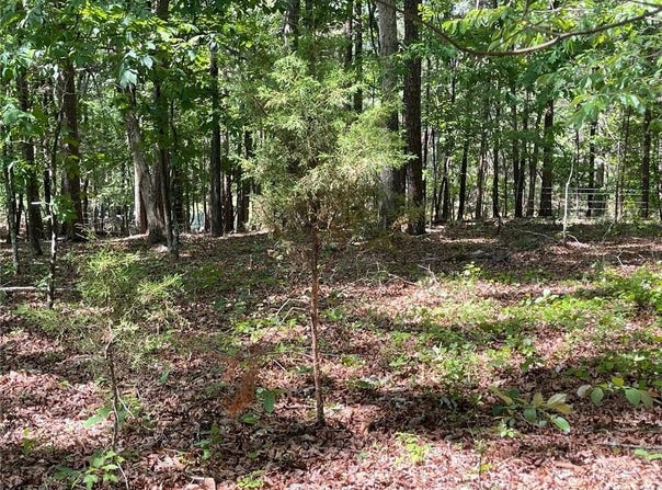 TR 2 Chalcrest Way, Cave Spring, GA 30124