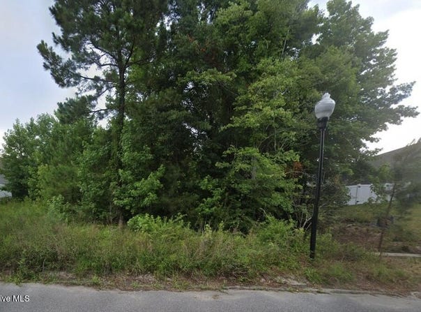 1350 Cadbury Castle Drive SE, Bolivia, NC 28422