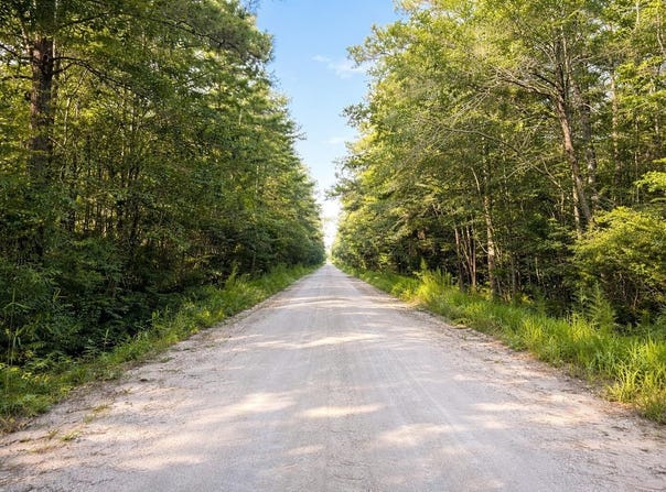 Wolf Pit Bay Rd., Nichols, SC 29581