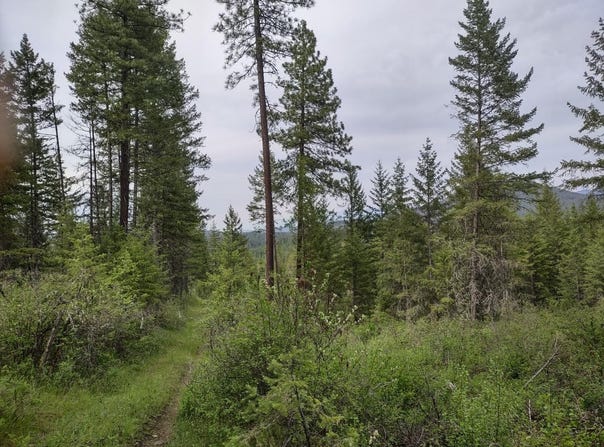 E Jump Off Rd, Valley, WA 99181