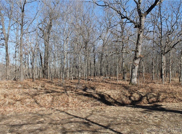 Dunn Drive, Edwards, MO 65326