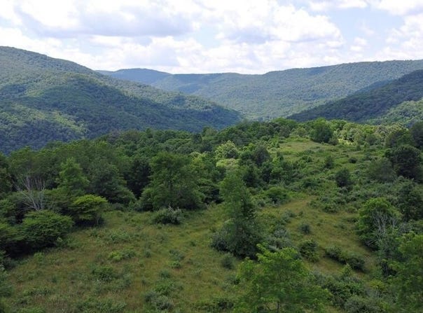 Linwood Rd, Slatyfork, WV 26291