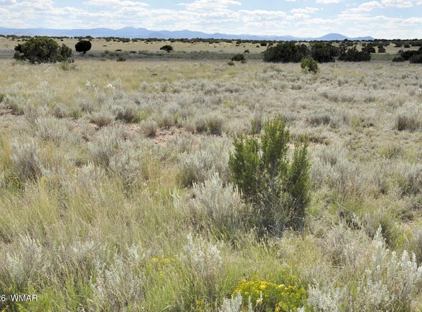 76 acres CR 6451, St. Johns, AZ 85936