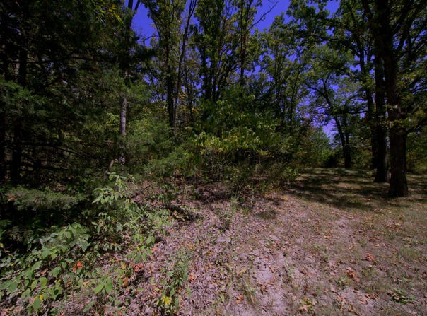 Tract 3 Simpson Rd, Urbana, MO 65767