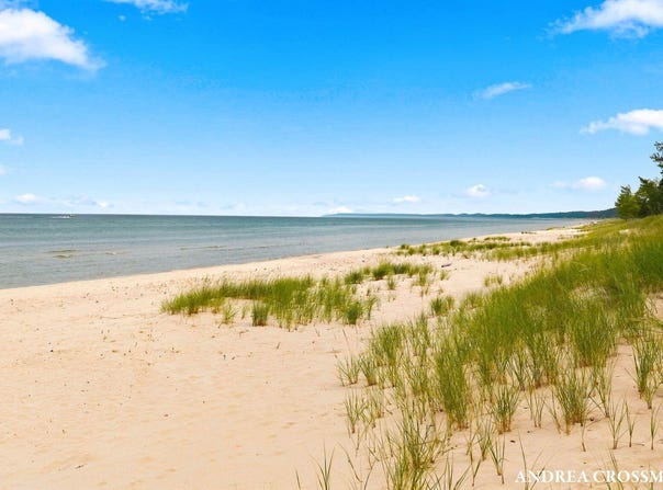 5045 N RIDGE ROAD, PENTWATER, MI 49449