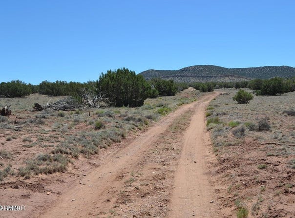 N8604, Concho, AZ 85924