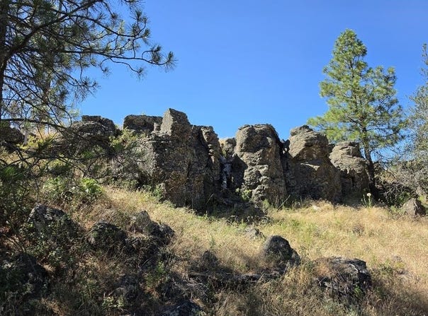 21301 S Harrison Rd, Cheney, WA 99008