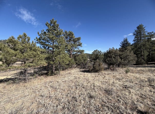 Canyon Rd, Cotopaxi, CO 81223