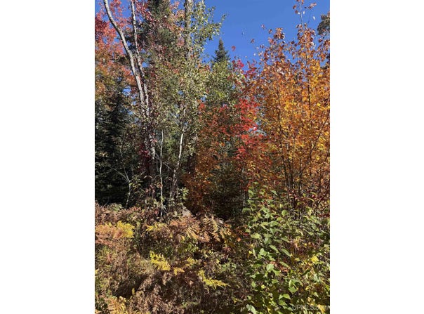 TBD41 Iron Belle Trail, Covington, MI 49919