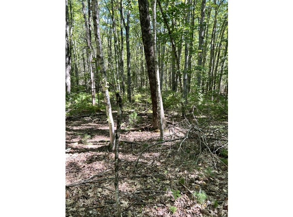 #56 S Waterboro Road, Lyman, ME 04002