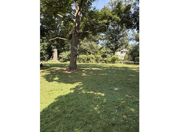 2530 Mcdaniel Avenue, Evanston, IL 60201