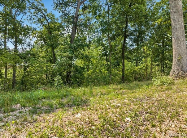 204 Ella Rose Lane, St Charles, MO 63304