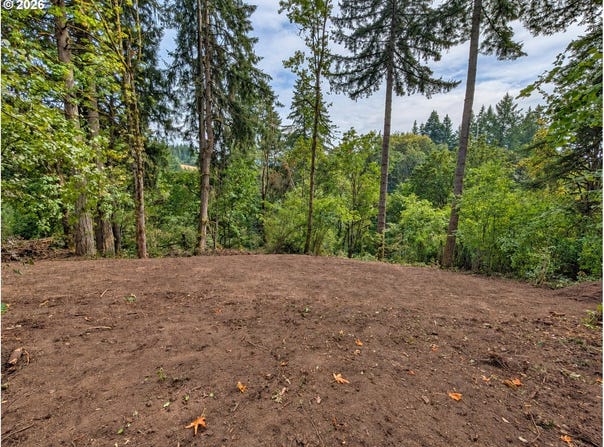 NE FINALBURG Rd, LaCenter, WA 98629