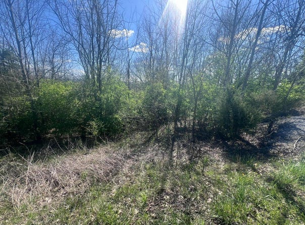 Tom Hackley Road, Stanford, KY 40484