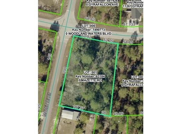 MAZETTE Road, WEEKI WACHEE, FL 34613