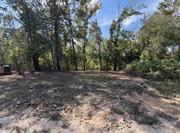 Lueckel Drive, Van Buren, MO 63965