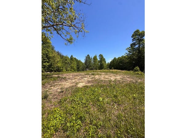 3088 Buckner Rd, Monterey, TN 38574