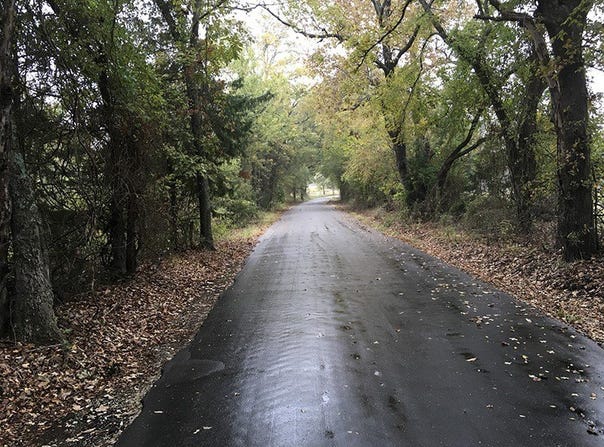 Rains County Rd #3150, Emory, TX 75440
