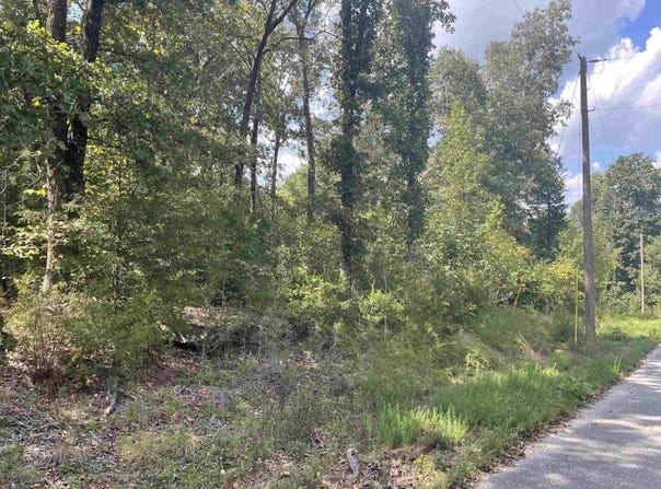 Maters Lane, Mountain View, AR 72560