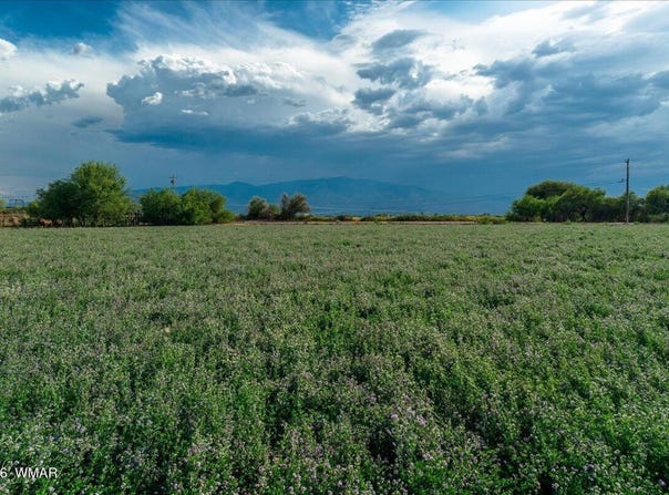 S Hancock Hollow Road, Safford, AZ 85546