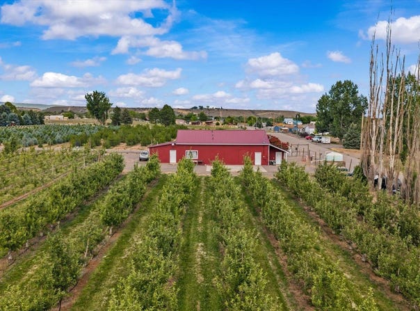 20977 Nowhere Road, Eckert, CO 81418