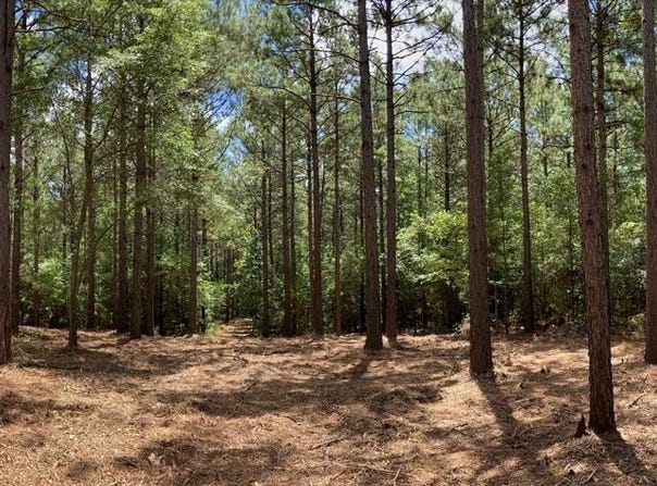 1360 County Road 403, San Augustine, TX 75972