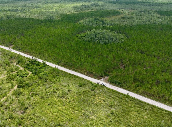 Fire Tower Road, Manor, GA 31550