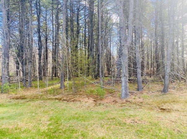 75 (#6) Pine Ledge Road, Bangor, ME 04401