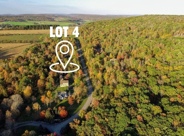 GOLDEN MEADOW Lane lot: 4, MC HENRY, MD 21541