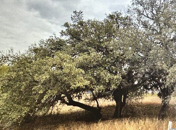 71 River Blf, Castroville, TX 78009