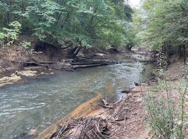 3497 Rutledge Loop Rd, LUVERNE, AL 36049