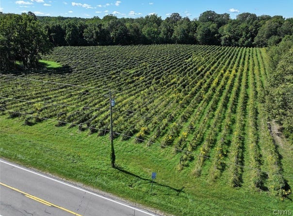Bennett State Road, Forestville, NY 14062