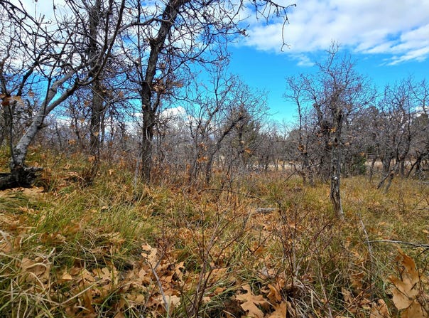 138 E Oak Ridge Drive, Mount Pleasant, UT 84647