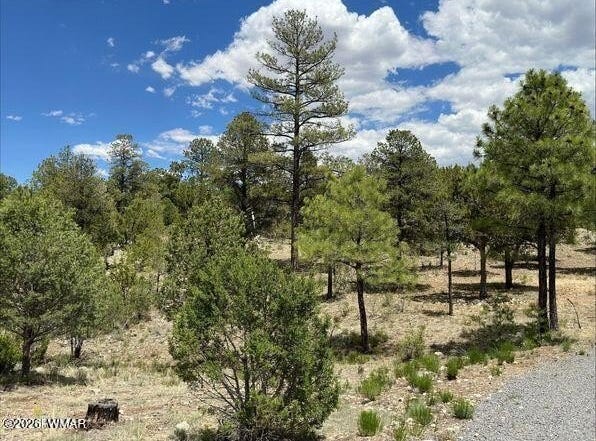 3372 Whisper Lane, Heber, AZ 85928